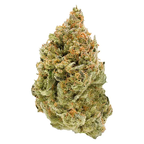 Simply Bare - BC Organic Fruit Loopz Dried Flower - BC Organic Fruit Loopz 3.5g Dried Flower Simply Bare - BC Organic Fruit Loopz Dried Flower - BC Organic Fruit Loopz 3.5g Dried Flower