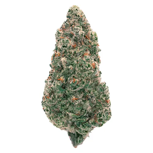 Back Forty - Mandarin Cookies - Mandarin Cookies 3.5g Dried Flower Back Forty - Mandarin Cookies - Mandarin Cookies 3.5g Dried Flower