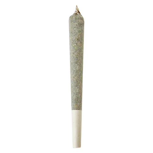 Jungle Mints Double Infused Pre-Roll