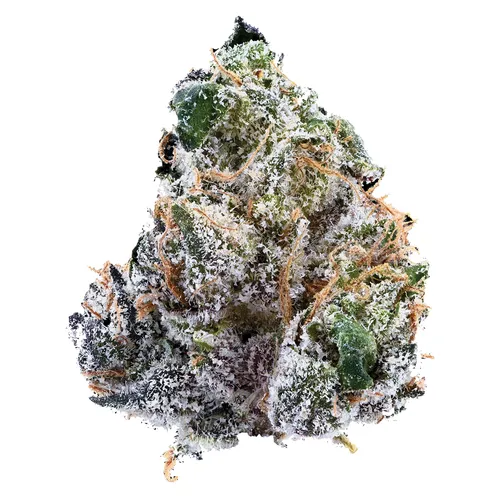 GUAVA JAM (Guavaz x Guavaz) GUAVA JAM (Guavaz x Guavaz)