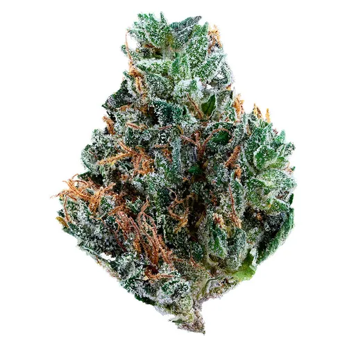 Gelato Mint