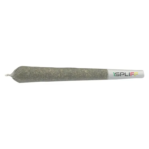 Biscotti Pre-roll