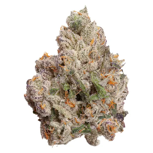 FOUR54 - Cherry Bang Bang - Cherry Bang Bang 3.5g Dried Flower FOUR54 - Cherry Bang Bang - Cherry Bang Bang 3.5g Dried Flower