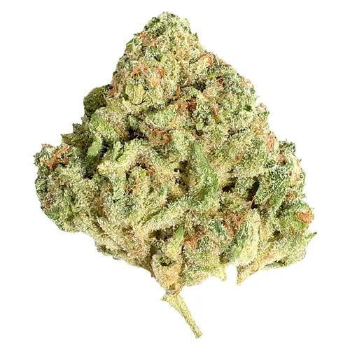 Potluck - Sugar Shack - Hybrid - 7g