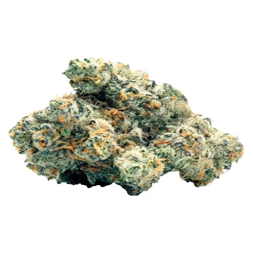 Campfire Kush
