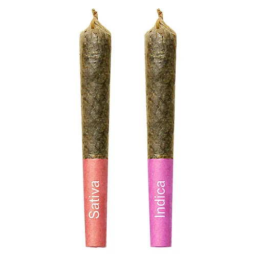 Gemini: Sun & Moon Shatter Infused Pre-Rolls