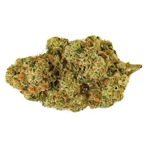 Electric Honeydew Flower