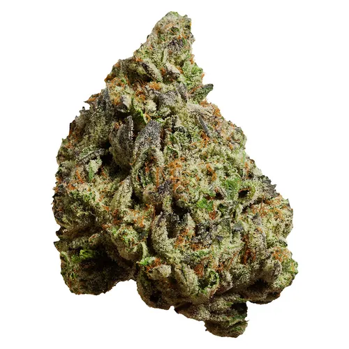 FOUR54 - Dubble Motorboat - Dubble Motorboat 28g Dried Flower FOUR54 - Dubble Motorboat - Dubble Motorboat 28g Dried Flower