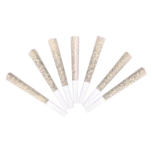 Johnny Cage Aces Pre-Roll