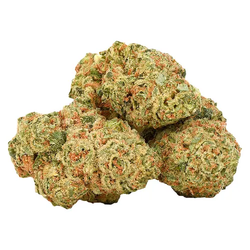 Highly Dutch Organic - Rotterdam Indica (Organic Red Pop Runtz) - Rotterdam Indica 28g Dried Flower Highly Dutch Organic - Rotterdam Indica (Organic Red Pop Runtz) - Rotterdam Indica 28g Dried Flower