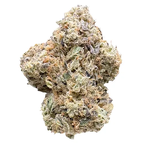 Medellin (Wedding Cake x Chemdawg) Medellin (Wedding Cake x Chemdawg)