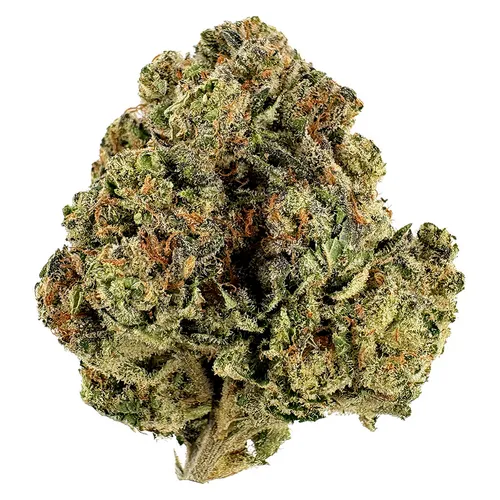 Blackberry Chem (Chemdawg x Blackberry Kush) Blackberry Chem (Chemdawg x Blackberry Kush)