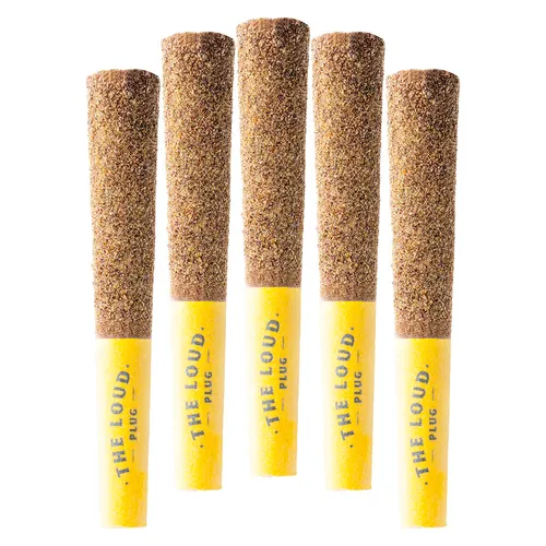 The Loud Plug - Drippyz Mango Tango Infused Pre-Roll - Indica - 5x0.5g The Loud Plug - Drippyz Mango Tango Infused Pre-Roll - Indica - 5x0.5g