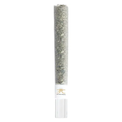 Black Cheese Glass Tip Pre-Roll