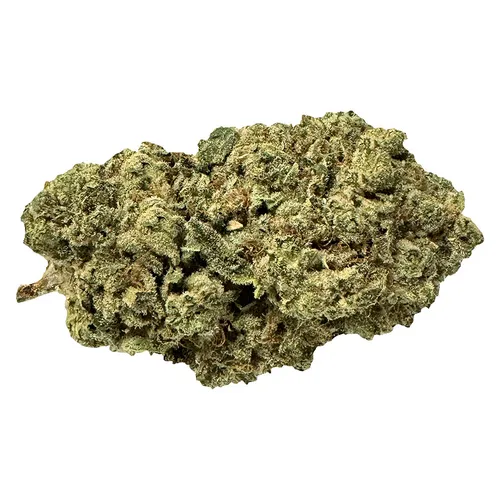 Terp Town Collective - Pirate Milk - Pirate Milk 3.5g Dried Flower