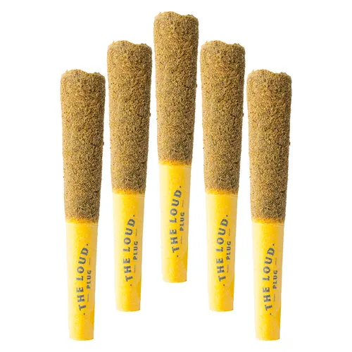 The Loud Plug - Drippyz Lemon GLTO Infused Pre-Roll - 5x0.5g