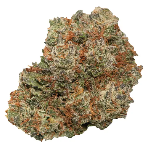 Payday Pack (Black Sunset)
