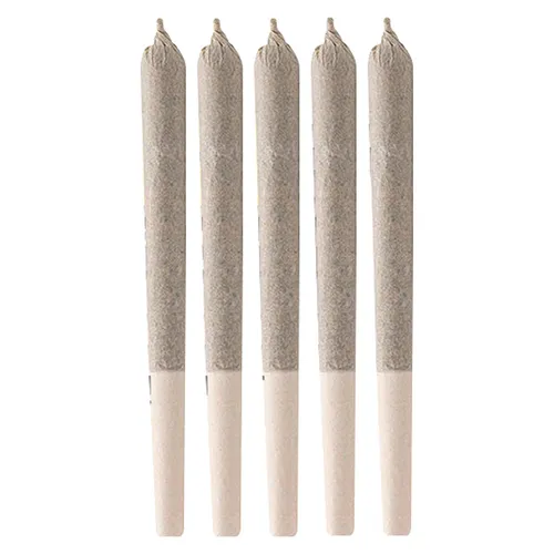 Black Triangle Pre-Roll