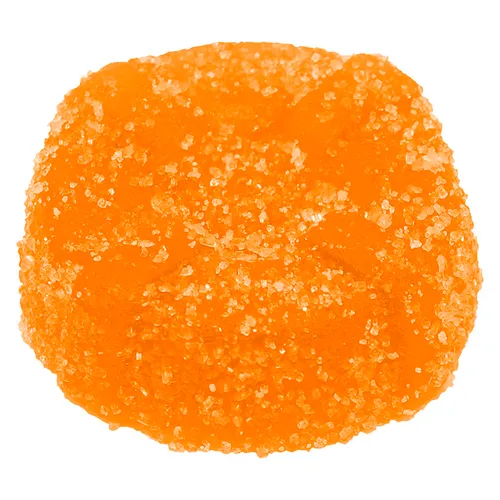 No Fututre The Orange One