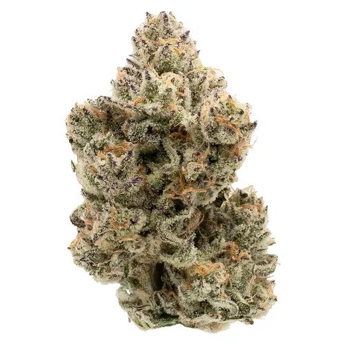 Northern Canna - The Collective Half (Pink Certz) - The Collective Half Q 3.5g Dried Flower Northern Canna - The Collective Half (Pink Certz) - The Collective Half Q 3.5g Dried Flower