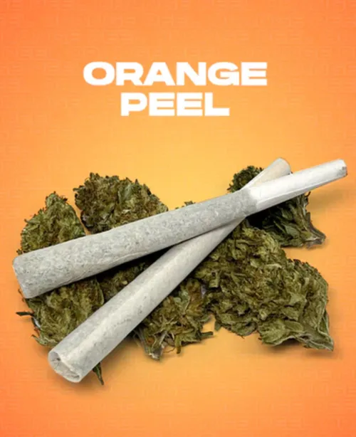 Astrolab Pineapple Orange Peel Live Rosin Infused Pre Rolls