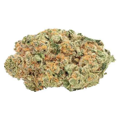 Tropicanna Tangie