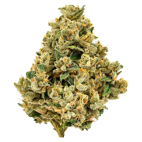 Cheers Cannabis - Strawberry Grail - Indica Cheers Cannabis - Strawberry Grail - Indica