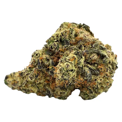 Truffle Treats (Gorilla Butter x Unknown Hybrid) Truffle Treats (Gorilla Butter x Unknown Hybrid)