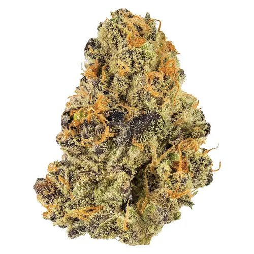 Potluck - Blueberry Tart - 7g Potluck - Blueberry Tart - 7g