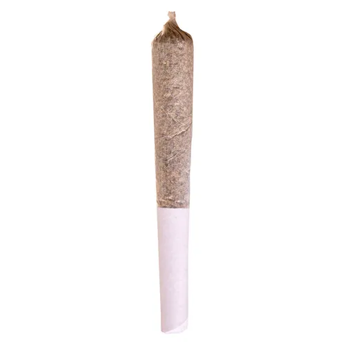 Beaver Tail Pre-Roll