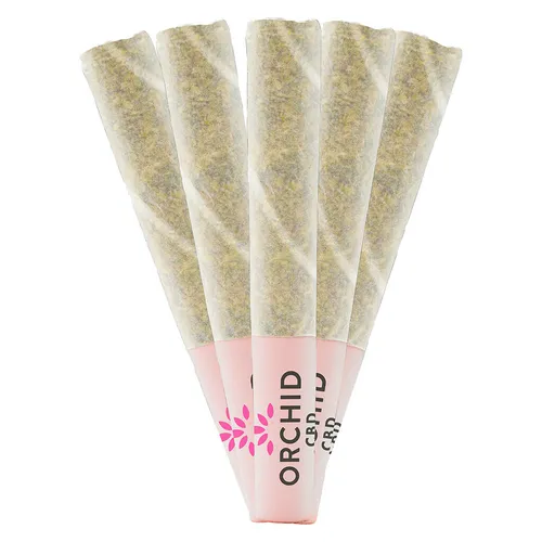 Orchid CBD - CBD Runtz Pre-Roll - CBD Runtz Pre-Roll 5x0.5g Pre-Rolls