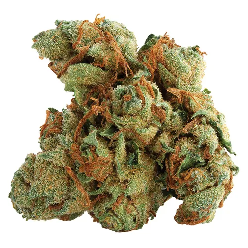 Spinach Tangerine Twist Dried Flower