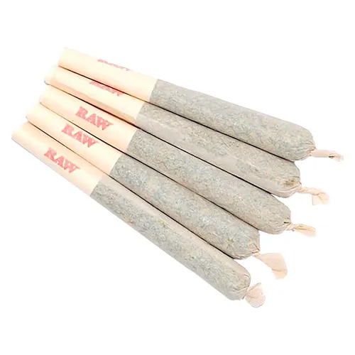 Gary Satan Pre-Roll