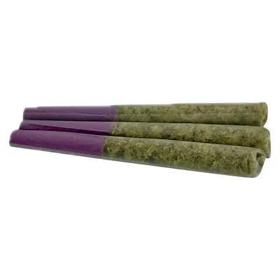 LAMB OF GOD Pre-Roll