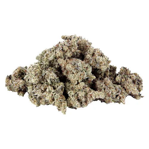 (Platinum Gelato Breath) The Showcase