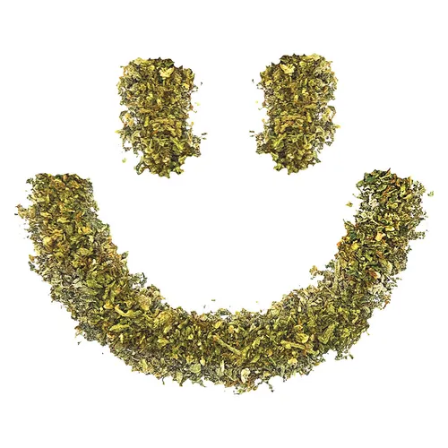 Joyride Sativa