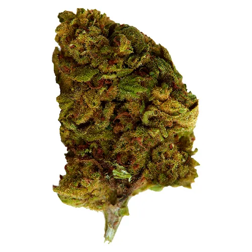 Versus - Bubba Kush - 3.5g Versus - Bubba Kush - 3.5g