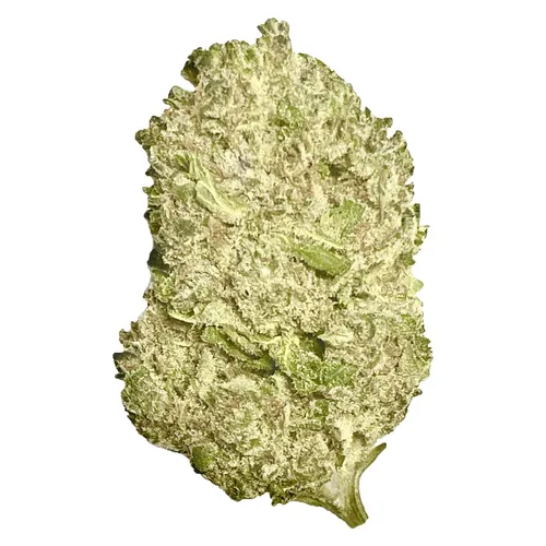 AAAA Kush ($10K Purple Kush x Original G13) AAAA Kush ($10K Purple Kush x Original G13)