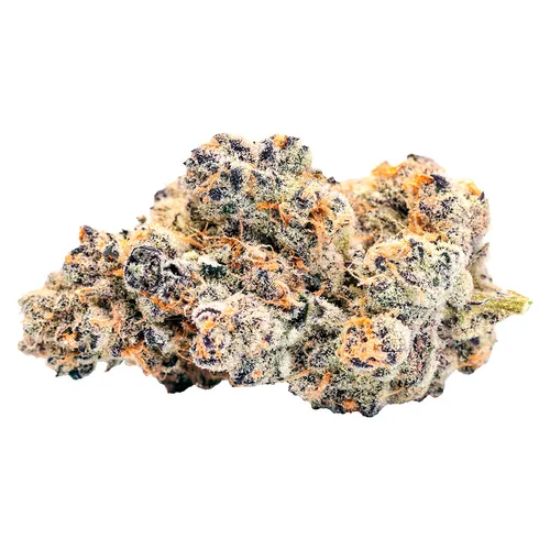 Exclusives Pheno #1