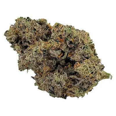 Plan't of the Ganja