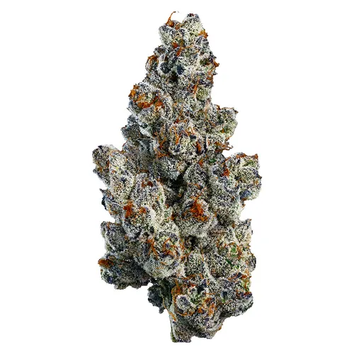 Organic Bling Blaow (Gastro Pop x Glitter Bomb) Craft Flower Organic Bling Blaow (Gastro Pop x Glitter Bomb) Craft Flower