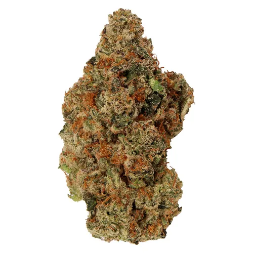 Jelly Donut (Biscotti x Sunset Sherbet) Jelly Donut (Biscotti x Sunset Sherbet)
