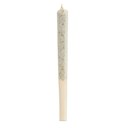 Comatose Pre-Roll