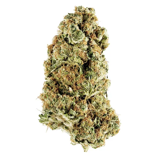 ANIMAL RNTZ (Animal Cookies x Rntz) ANIMAL RNTZ (Animal Cookies x Rntz)