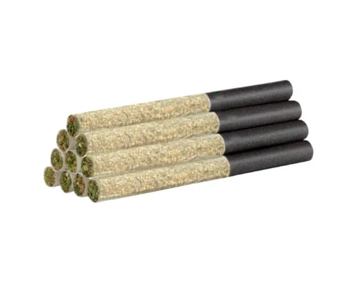 Redees Hemp'd Animal Rntz (Animal Cookies x Rntz) Pre-Roll Redees Hemp'd Animal Rntz (Animal Cookies x Rntz) Pre-Roll