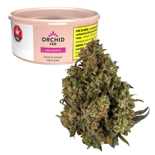 CBD Runtz