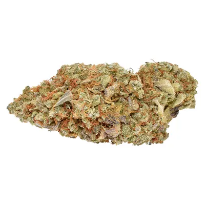 Sativa
