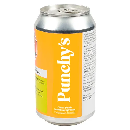 Punchy's - Citrus Punch - Citrus Punch 355ml Beverages Punchy's - Citrus Punch - Citrus Punch 355ml Beverages