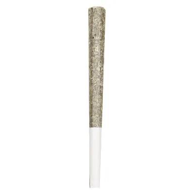 Royal One - Vault Series Pre-Roll