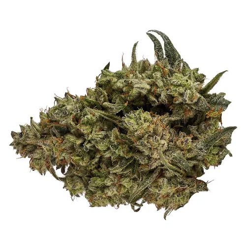 CBD RUNTZ (Runtz x Mystic Magic CBD) CBD RUNTZ (Runtz x Mystic Magic CBD)